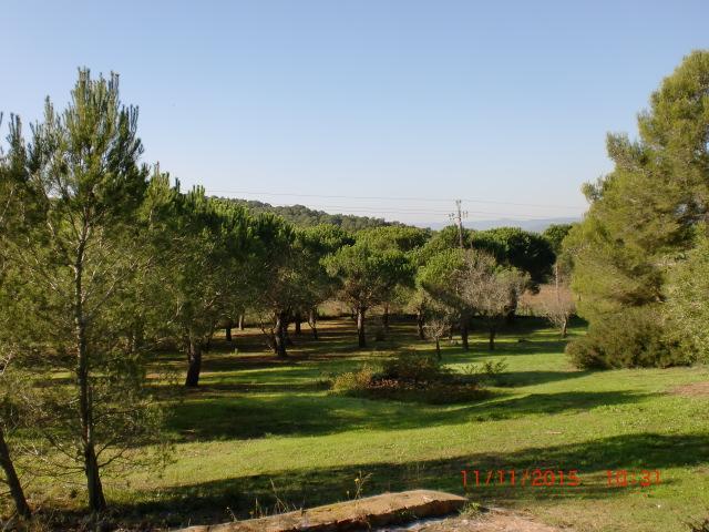 Hôtel Puig Gros à Montrás Extérieur photo